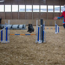 20211030 IMG 0499 1400