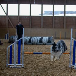 20211030 IMG 0507 1400