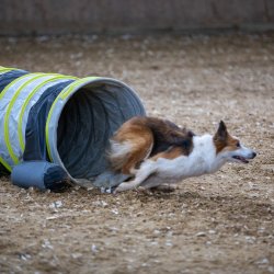 20211030 IMG 0516 1400