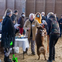 20211031 IMG 0727 1400