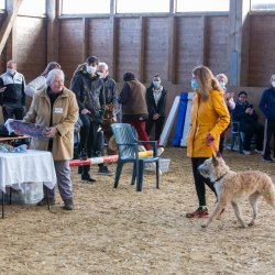 20211031 IMG 0732 1400