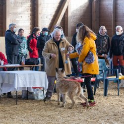 20211031 IMG 0740 1400