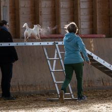 20211031 IMG 0750 1400