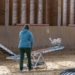 20211031 IMG 0762 1400