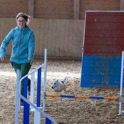 20211031 IMG 0767 1400