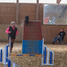 20211031 IMG 0786 1400