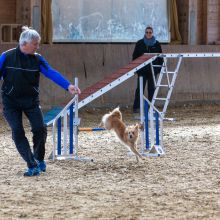 20211031 IMG 0790 1400