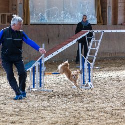 20211031 IMG 0790 1400