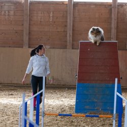 20211031 IMG 0821 1400