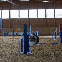 20211031 IMG 0825 1400