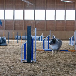 20211031 IMG 0835 1400