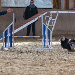 20211031 IMG 0837 1400