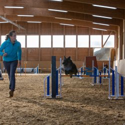 20211031 IMG 0850 1400