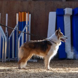 20211031 IMG 0860 1400