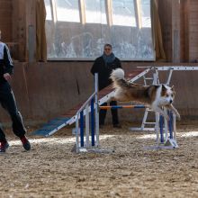 20211031 IMG 0864 1400