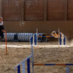 20211031 IMG 0865 1400