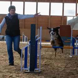 20211031 IMG 0885 1400