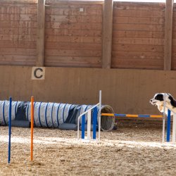 20211031 IMG 0888 1400