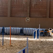 20211031 IMG 0896 1400