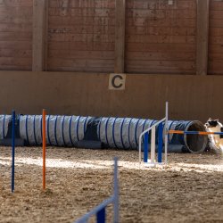 20211031 IMG 0896 1400