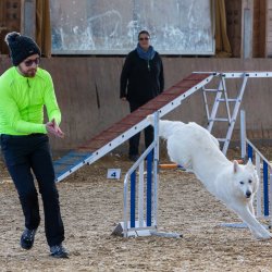 20211031 IMG 0927 1400