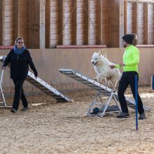 20211031 IMG 0930 1400