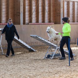 20211031 IMG 0930 1400