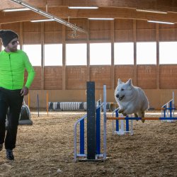 20211031 IMG 0933 1400