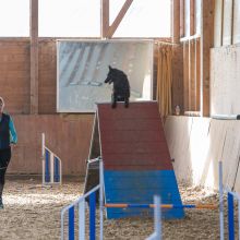 20211031 IMG 0939 1400