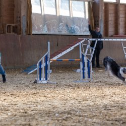 20211031 IMG 0947 1400