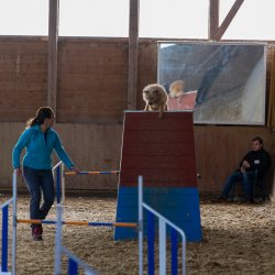 20211031 IMG 0969 1400