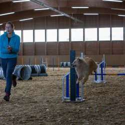 20211031 IMG 0971 1400