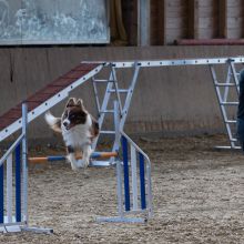 20211031 IMG 0986 1400