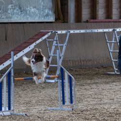 20211031 IMG 0986 1400