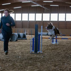 20211031 IMG 0997 1400