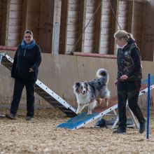 20211031 IMG 1014 1400