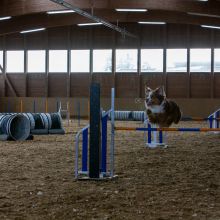 20211031 IMG 1028 1400