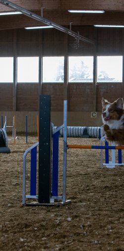 20211031 IMG 1028 1400