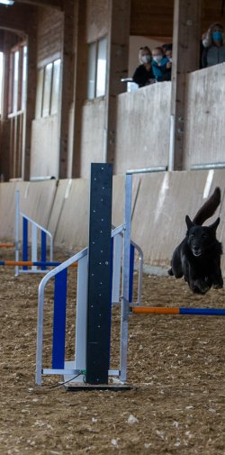 20211031 IMG 1058 1400