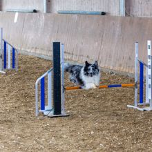 20211031 IMG 1061 1400