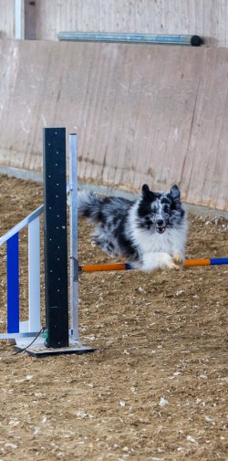 20211031 IMG 1061 1400