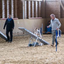 20211031 IMG 1063 1400