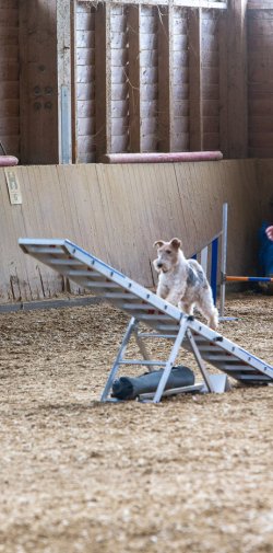 20211031 IMG 1063 1400