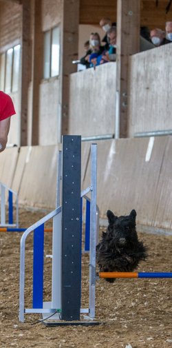 20211031 IMG 1070 1400