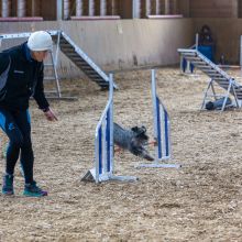 20211031 IMG 1073 1400