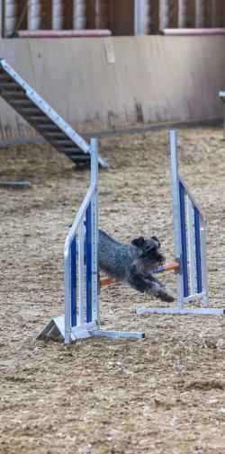 20211031 IMG 1073 1400