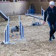 20211031 IMG 1079 1400