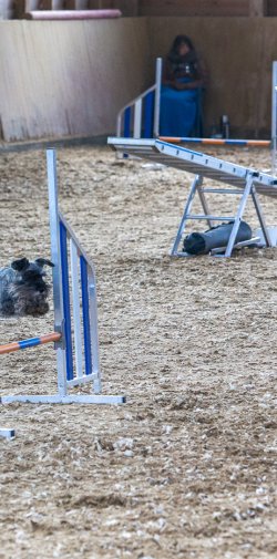 20211031 IMG 1079 1400