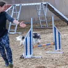 20211031 IMG 1087 1400