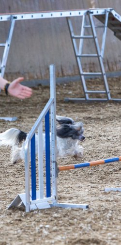 20211031 IMG 1087 1400